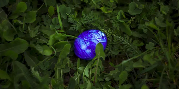 An azure ceramic egg lies in greenery