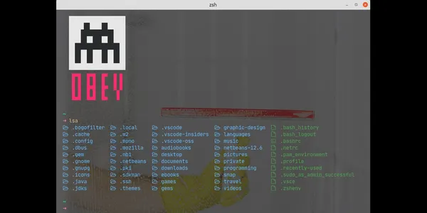 A terminal session is running the ls -a command. IT shows a host of dot files along with folders in the home directory.