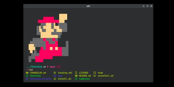 A stylish terminal. It has a pixel art image of super mario jumping above the command prompt. The lsd command is being run and is showing coloured files.
