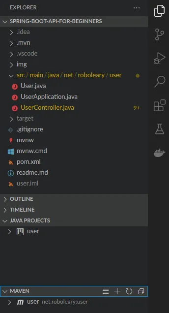 java project and maven panels in the explorer view