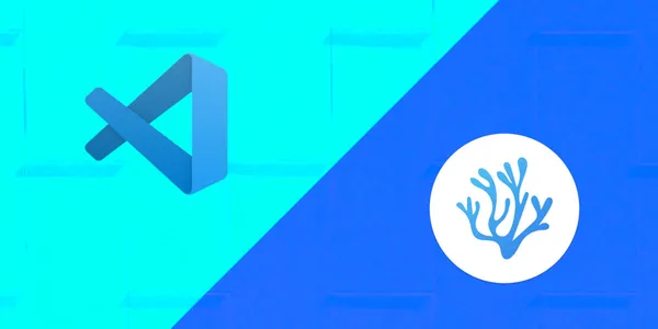 A diagonal line separates 2 coloured sections with the VS code logo on one side and the VS Codium on the other side.