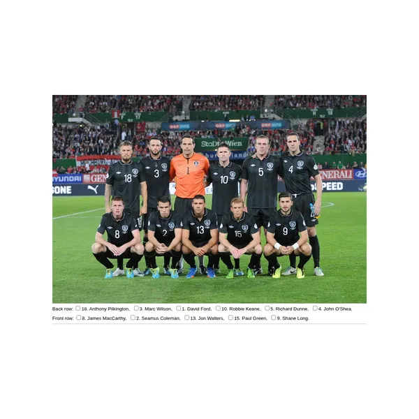 A picture of the Republic of Ireland national football team taken before the FIFA World Cup qualification 2014 match against Austria. Underneath the photograph, the player names are listed.